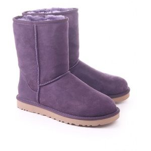 Purple Classic Short Ugg Boots